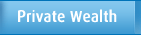 Private Wealth Services