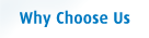 Why choose us