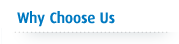 Why Choose Us