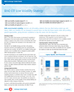 Low Volatility Strategy Thumbnail