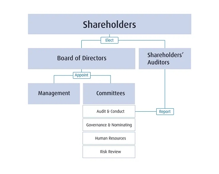 Organizational chart showing company governance: Shareholders elect Board of Directors and Auditors; Board appoints Management and four committees—Audit & Conduct, Governance & Nominating, Human Resources, and Risk Review.