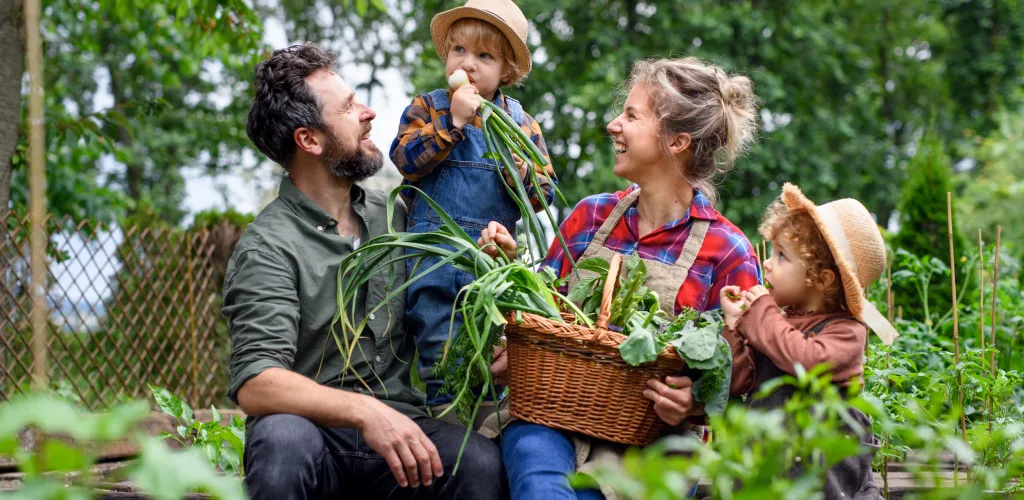 Le jardin d’une famille dans la cour arrière de leur maison