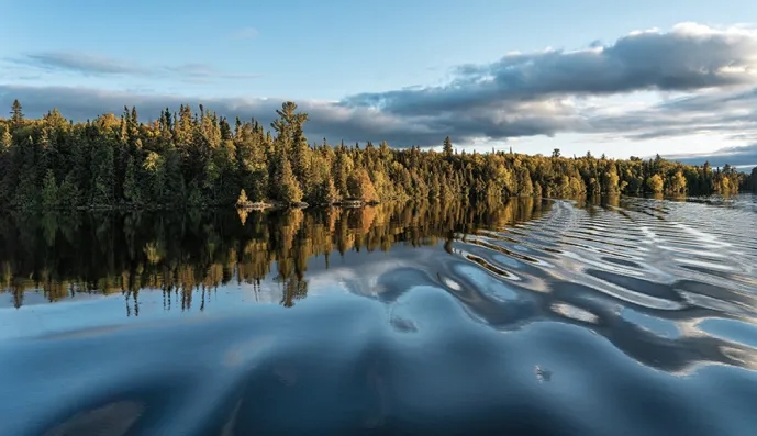 Best Wealth Management Digital Experience for Full-Service Investor Satisfaction**