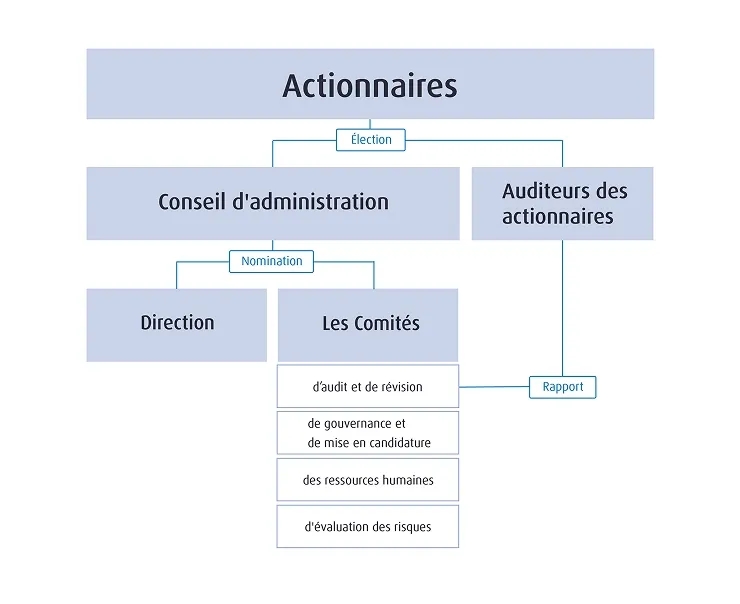 Organigramme de gouvernance : les actionnaires élisent le conseil d’administration et les vérificateurs; le conseil nomme la direction et quatre comités — Audit et conduite, Gouvernance et nomination, Ressources humaines, et Révision des risques.