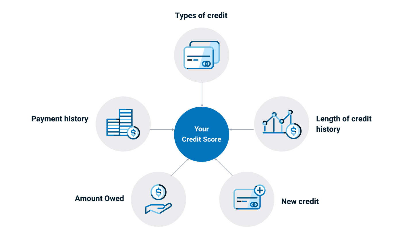 An info chart showing five factors; Payment history, types of credit, amount owed, new credit and length of credit history.