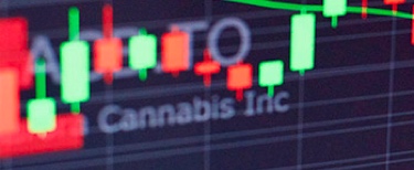 article - Extracting high premiums from cannabis stock options